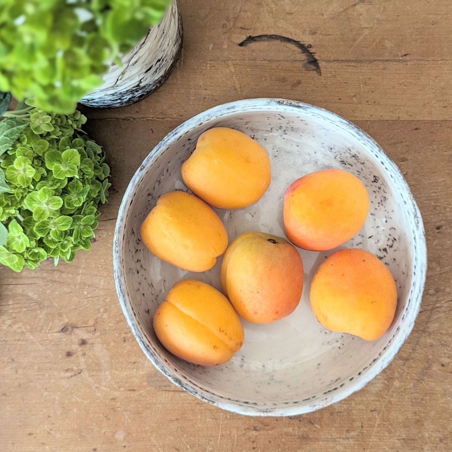 Low Handmade Ceramic Bowl - 7.5"