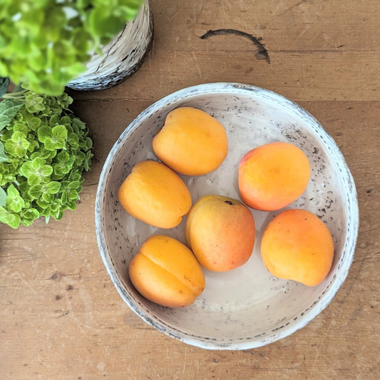 Low Handmade Ceramic Bowl - 7.5"